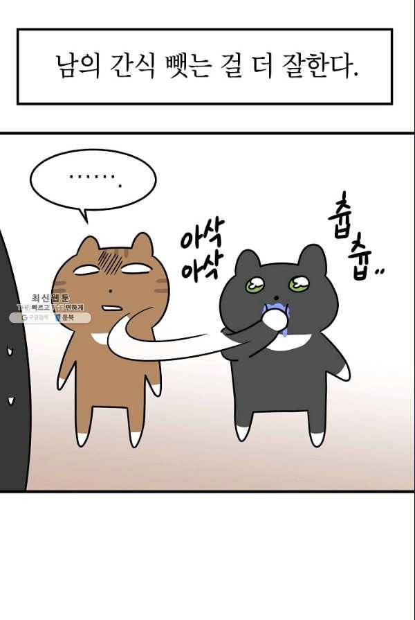 넘 많은 고양! 073화 8