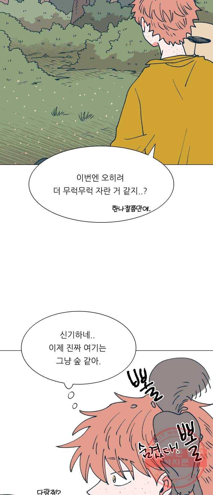 숲속의 담 80화 13