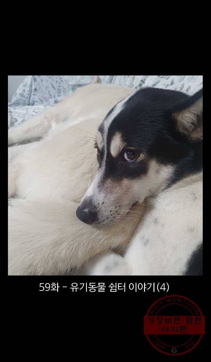 노곤하개 시즌4 59화 유기동물 쉼터 이야기 (4) 1