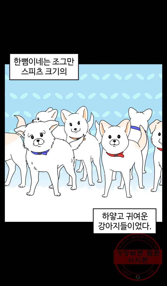 노곤하개 시즌4 59화 유기동물 쉼터 이야기 (4) 2