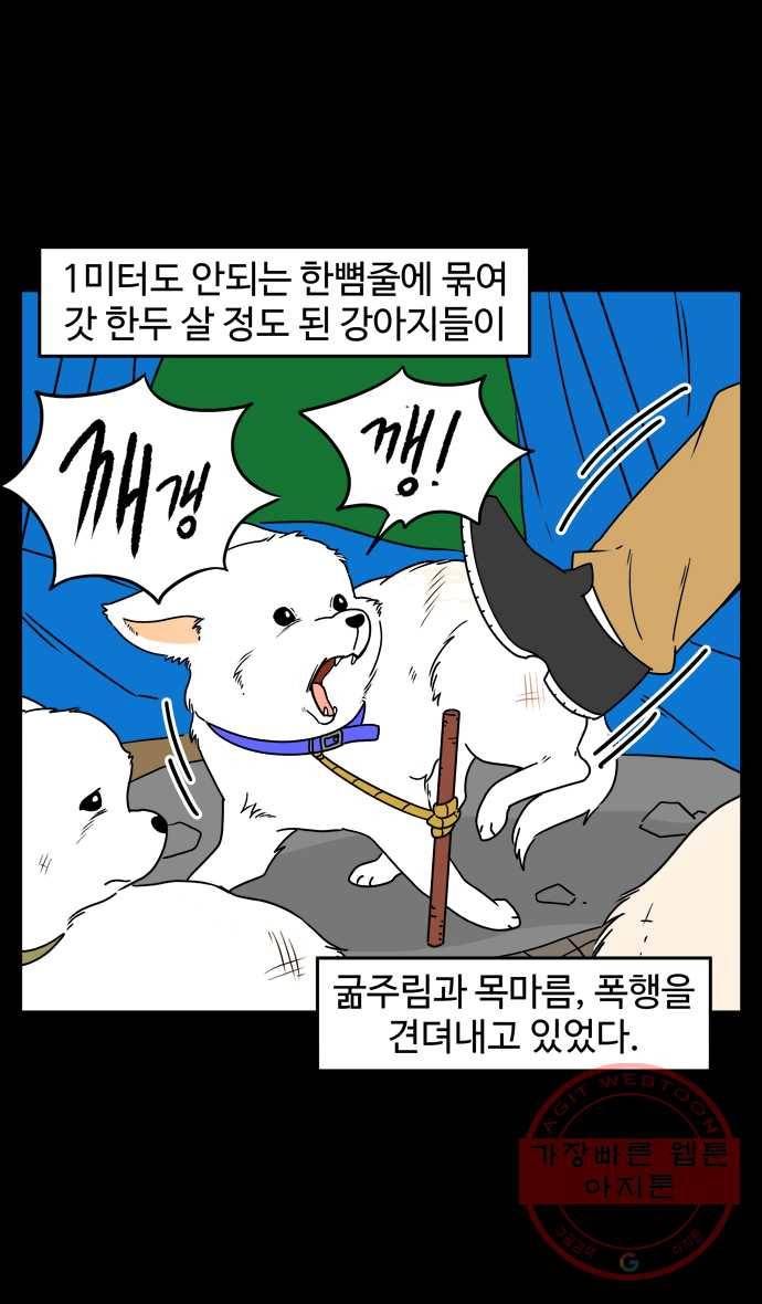 노곤하개 시즌4 59화 유기동물 쉼터 이야기 (4) 3