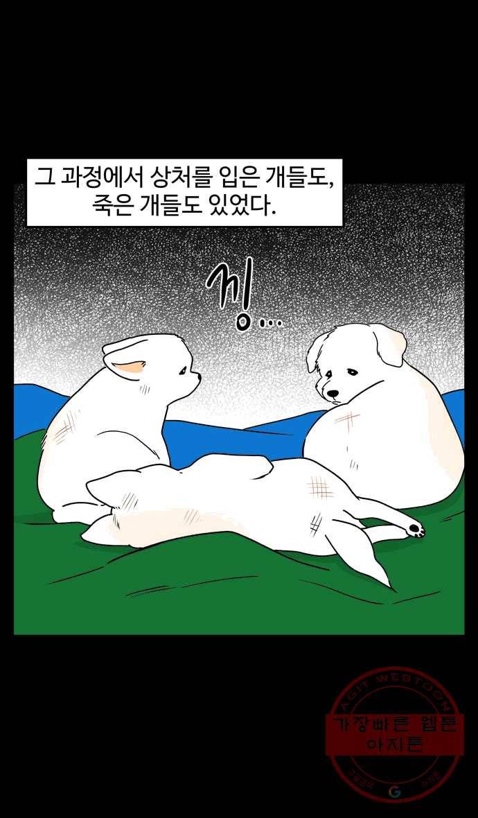 노곤하개 시즌4 59화 유기동물 쉼터 이야기 (4) 4