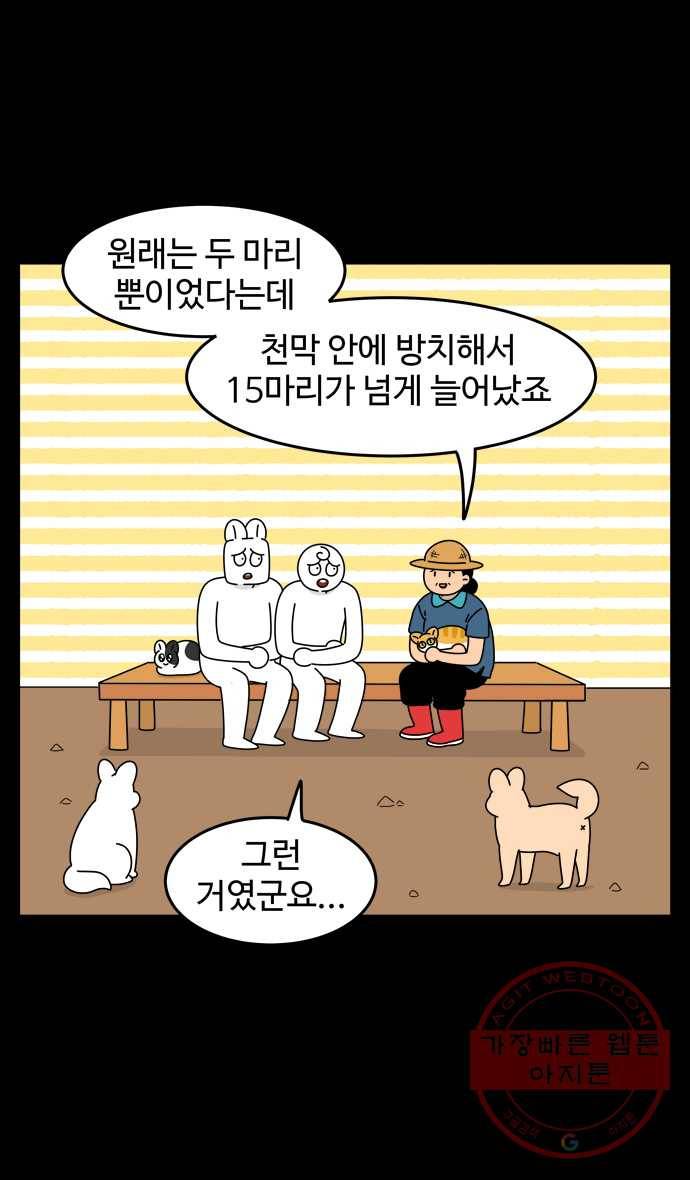 노곤하개 시즌4 59화 유기동물 쉼터 이야기 (4) 5