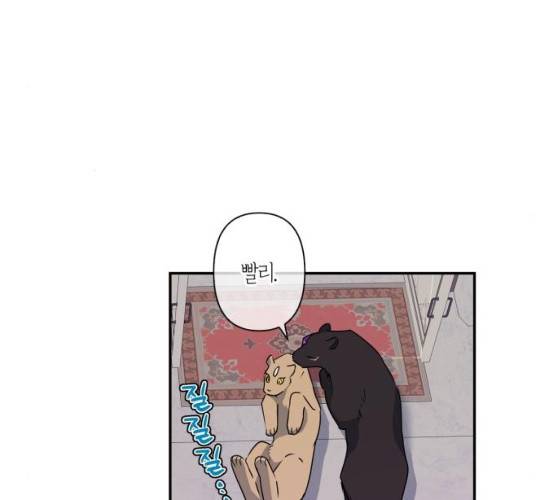 곱게 키웠더니, 짐승 37화 31