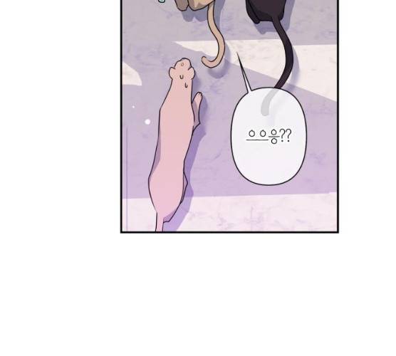 곱게 키웠더니, 짐승 37화 32