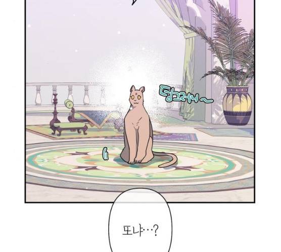 곱게 키웠더니, 짐승 37화 35