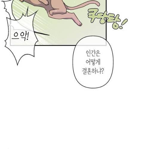 곱게 키웠더니, 짐승 37화 38