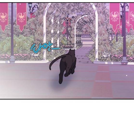 곱게 키웠더니, 짐승 37화 72