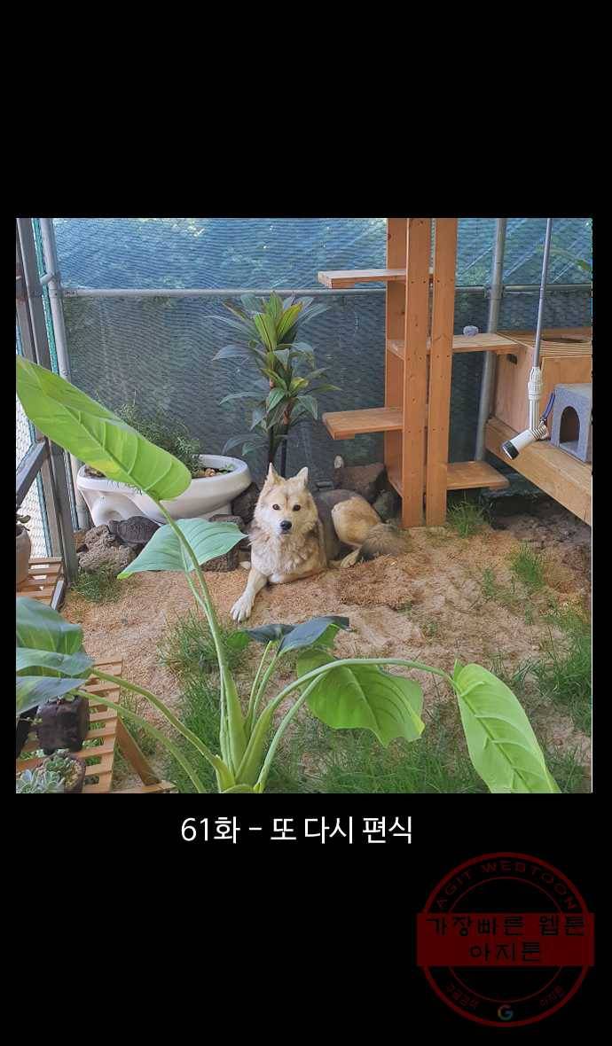 노곤하개 시즌4 61화 또 다시 편식 1