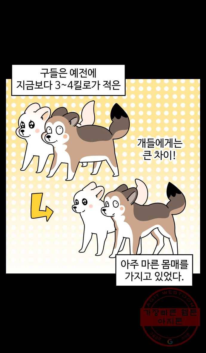 노곤하개 시즌4 61화 또 다시 편식 2