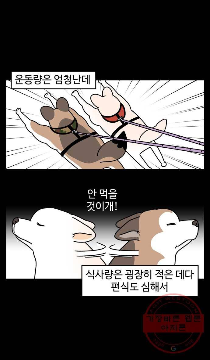 노곤하개 시즌4 61화 또 다시 편식 3
