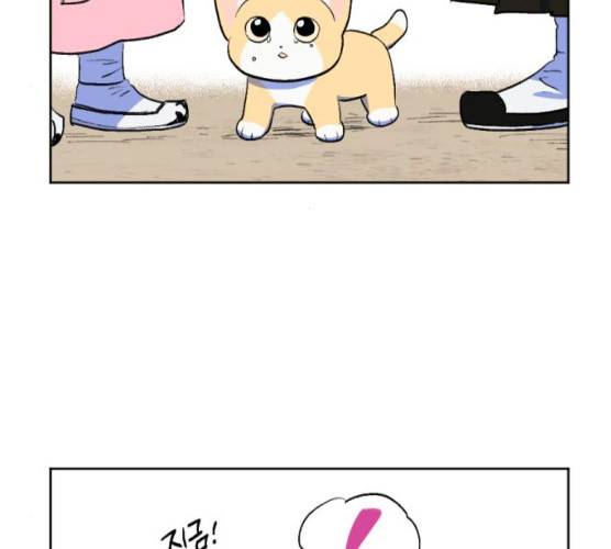 왕세자 입학도 67화 38