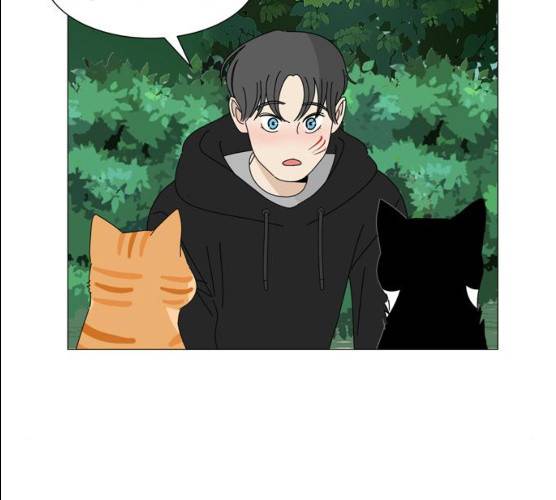 야생천사 보호구역 21화 12