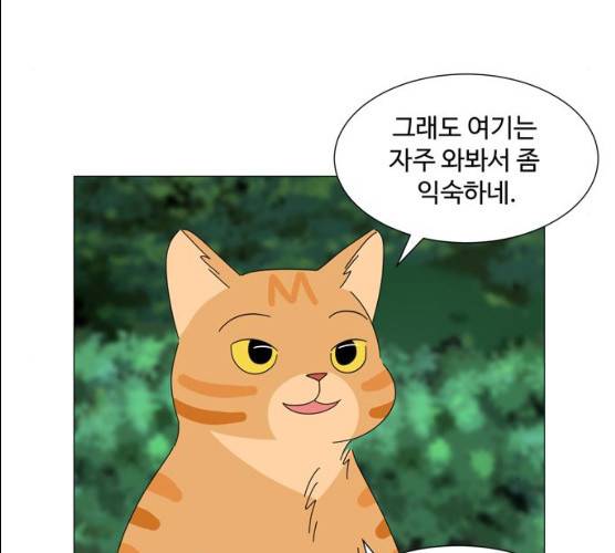 야생천사 보호구역 21화 16