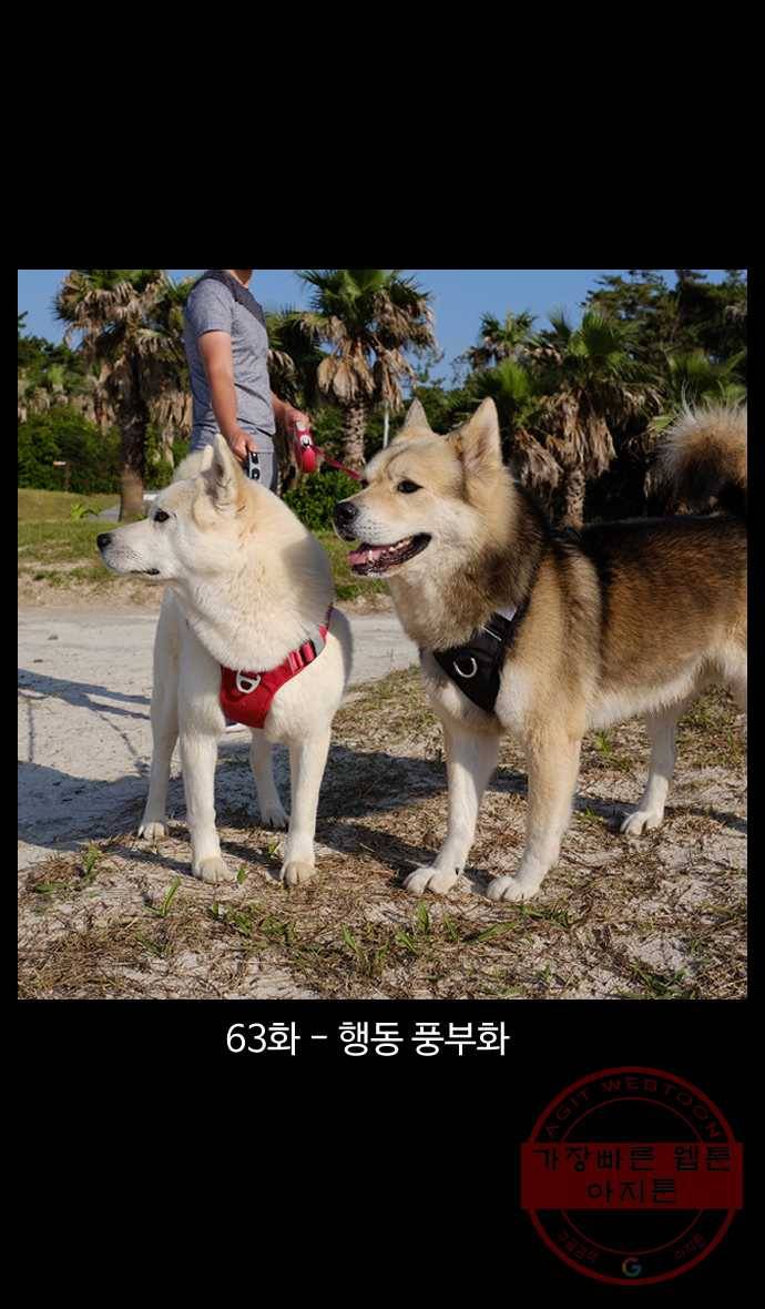 노곤하개 시즌4 63화 행동 풍부화 1