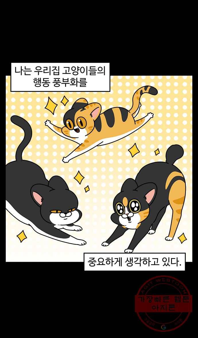 노곤하개 시즌4 63화 행동 풍부화 2