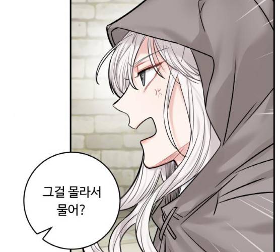마녀와 용의 신혼일기 44화 118