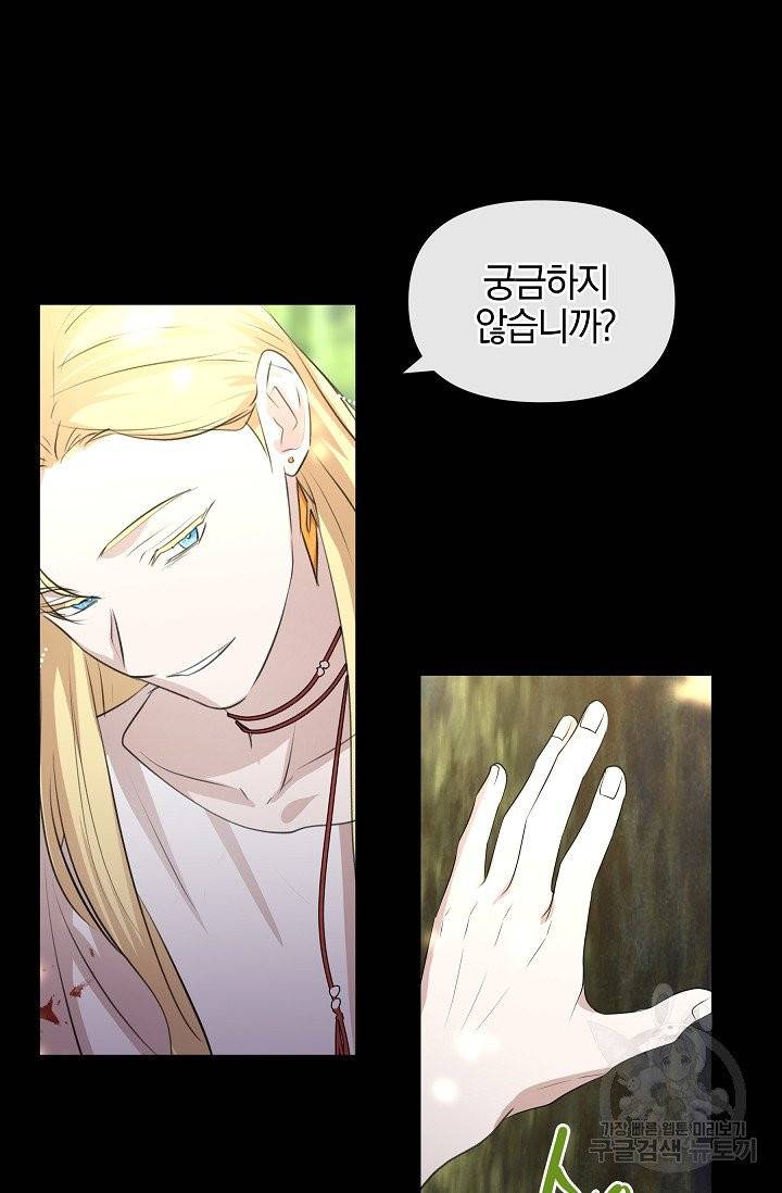 황금숲 31화 29