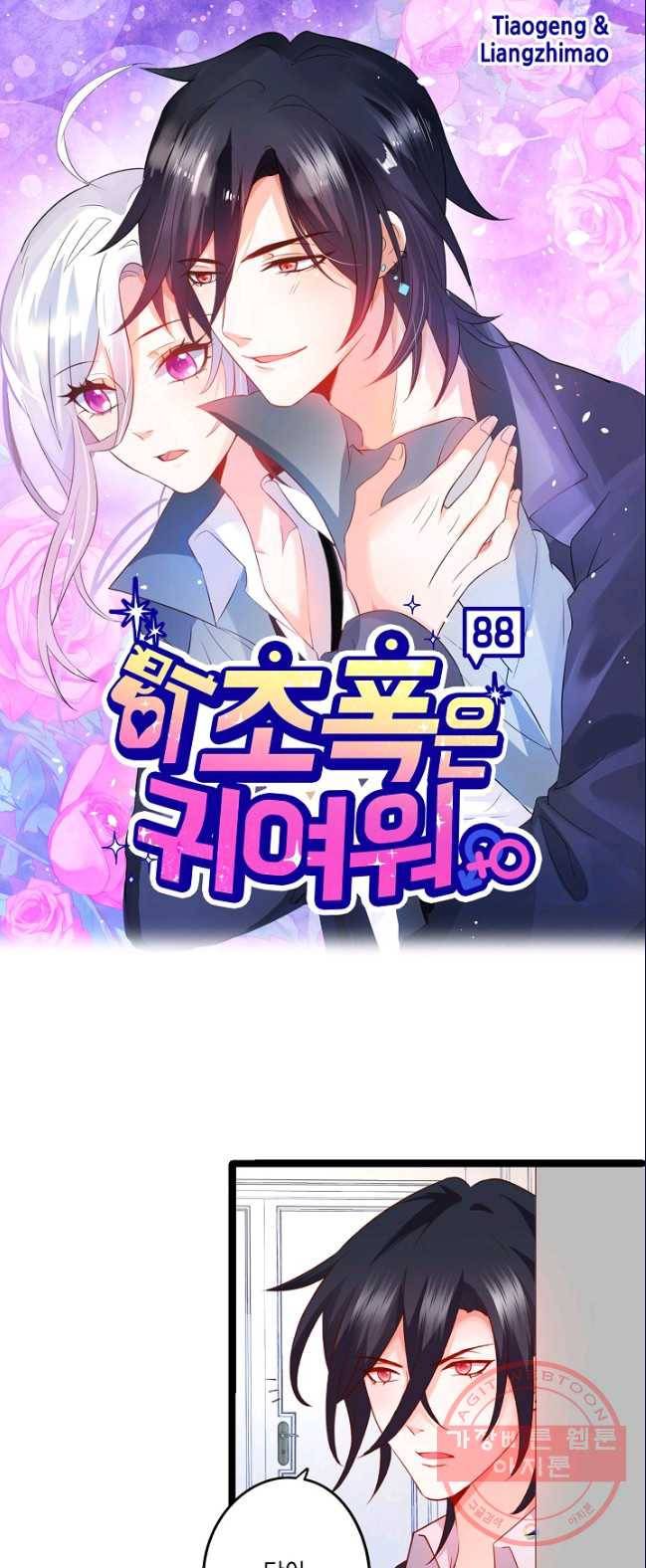 이 조폭은 귀여워 88화 1