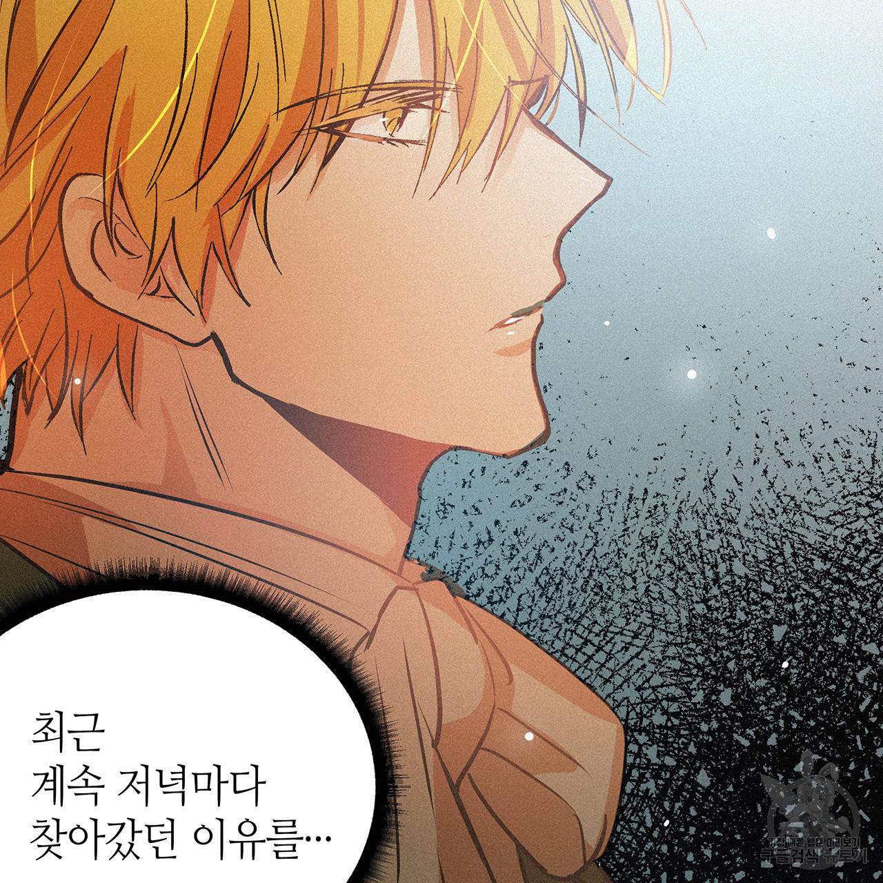 황제의 약혼녀로 산다는 것은 53화 56