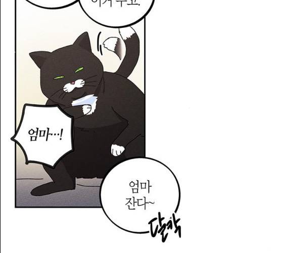 진짜 정말 맹세코 좋아해 43화 25