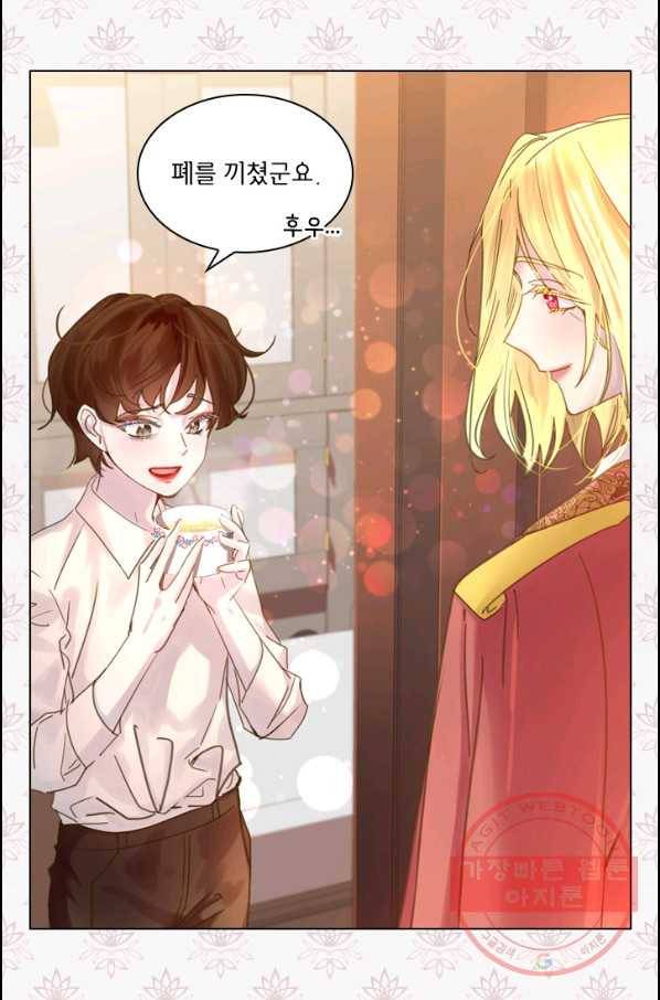 레이디 생존의 법칙 40화 14