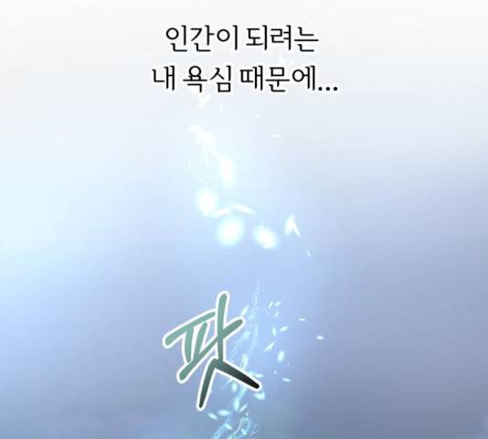 신선비 2부 17화 22