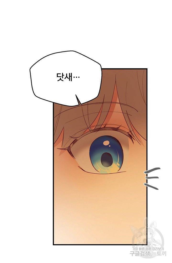 램프의 아미나 88화 49