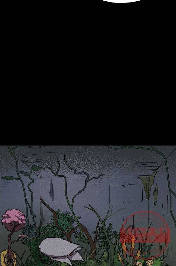 식물인간 0화 19