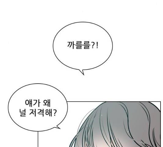 플레이, 플리 49화 8