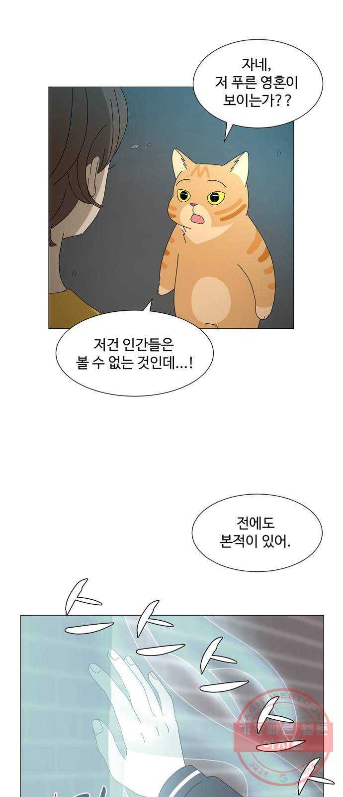 야생천사 보호구역 26화 푸른 영혼의 비밀 (2) 3