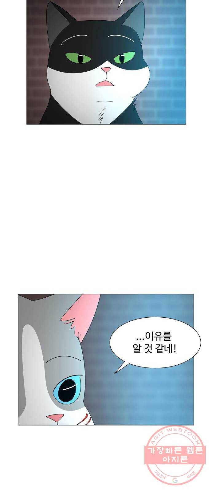 야생천사 보호구역 26화 푸른 영혼의 비밀 (2) 5