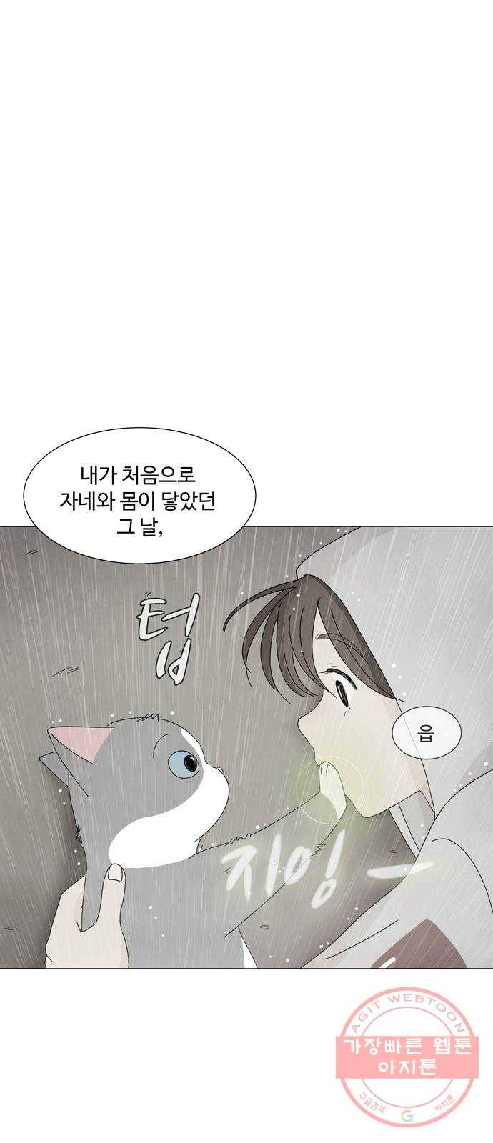 야생천사 보호구역 26화 푸른 영혼의 비밀 (2) 6