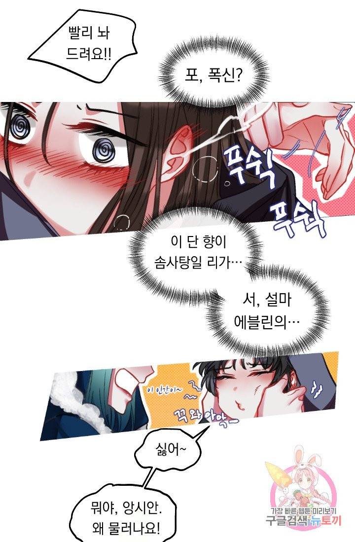 은의 공녀, 까마귀 공녀 33화 26