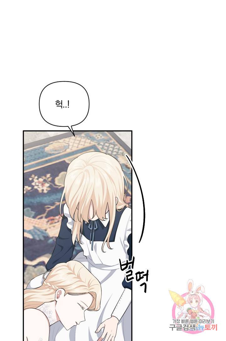 TL 소설 속 시녀가 되었습니다 49화 66