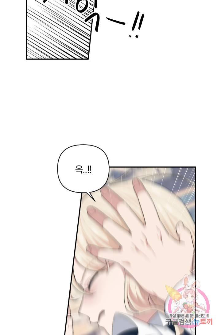 TL 소설 속 시녀가 되었습니다 49화 69