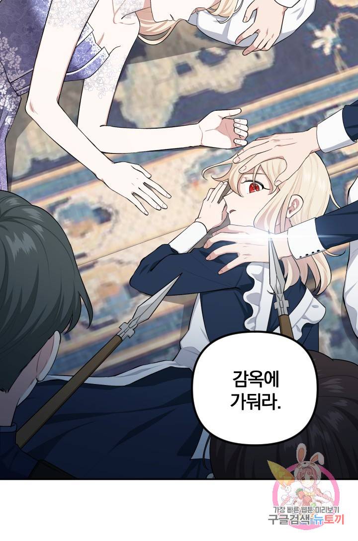 TL 소설 속 시녀가 되었습니다 49화 73