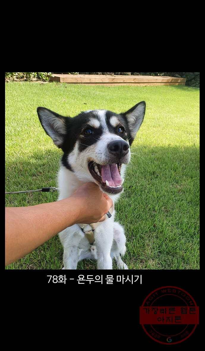 노곤하개 시즌4 78화 욘두의 물 마시기 1