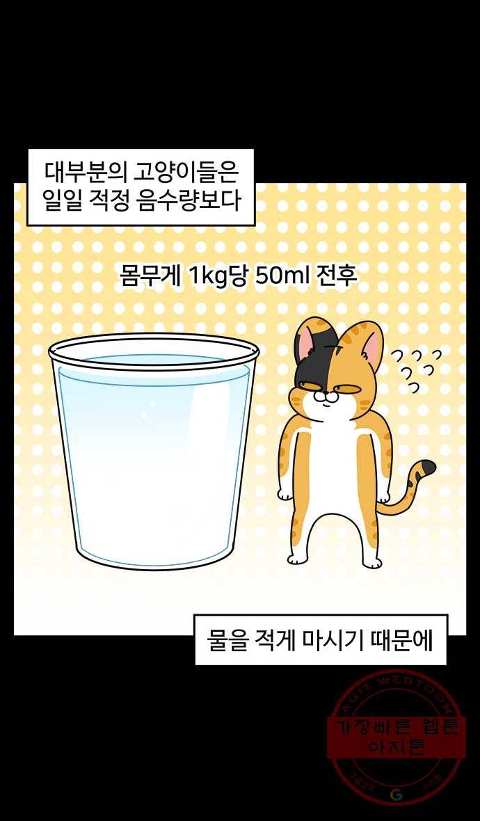 노곤하개 시즌4 78화 욘두의 물 마시기 2