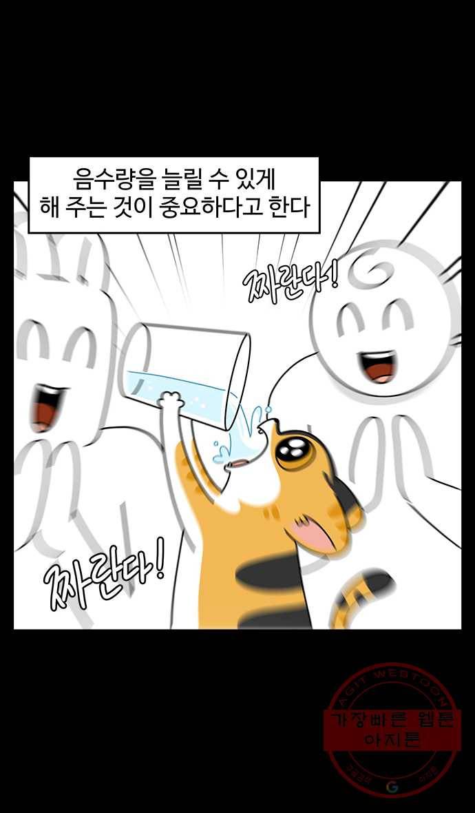 노곤하개 시즌4 78화 욘두의 물 마시기 3