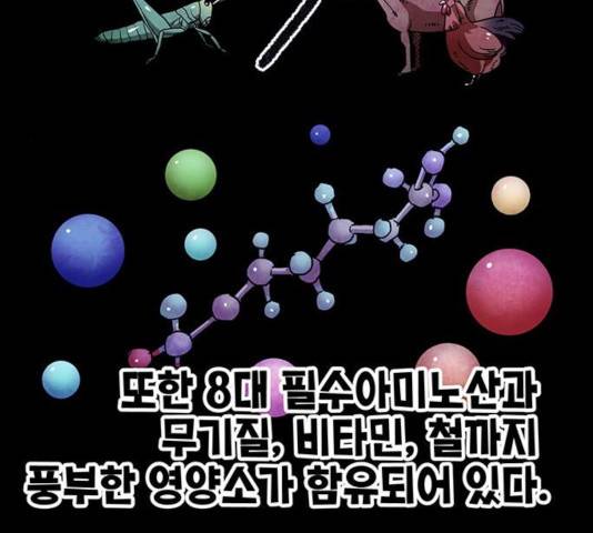 만물의 영장 PART2 31화 8