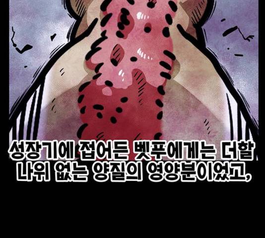 만물의 영장 PART2 31화 10