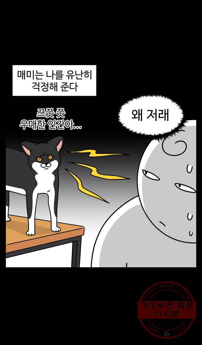 노곤하개 시즌4 82화 매미의 걱정 2