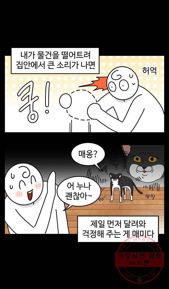 노곤하개 시즌4 82화 매미의 걱정 3