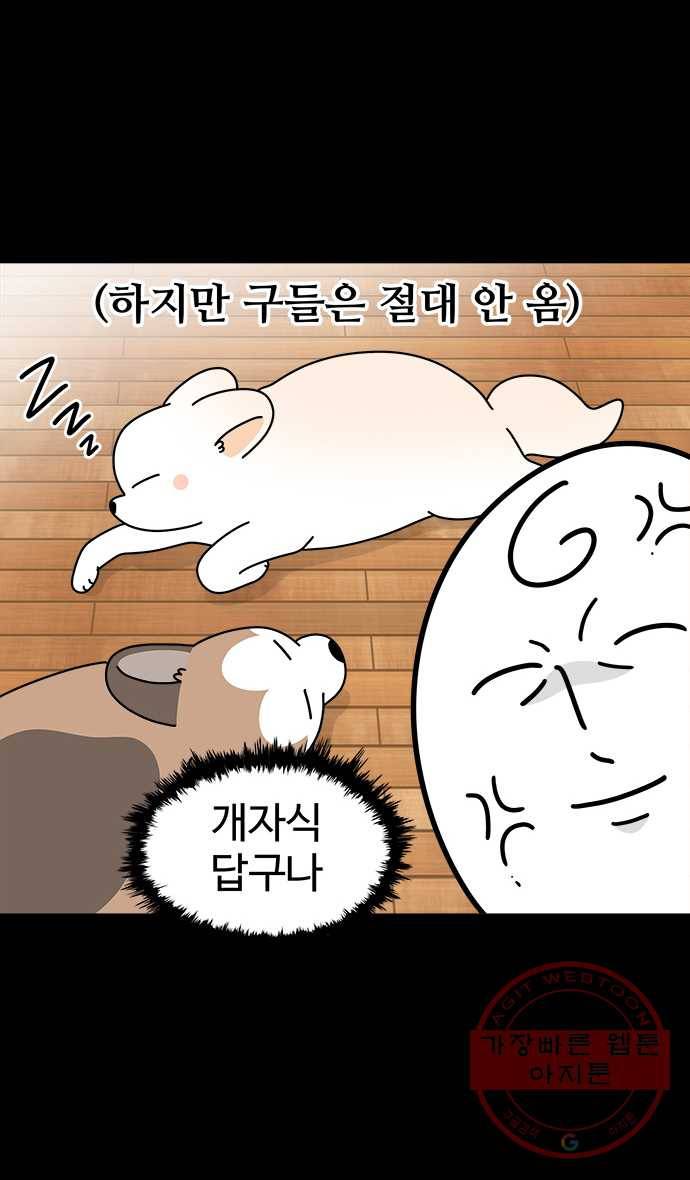 노곤하개 시즌4 82화 매미의 걱정 4