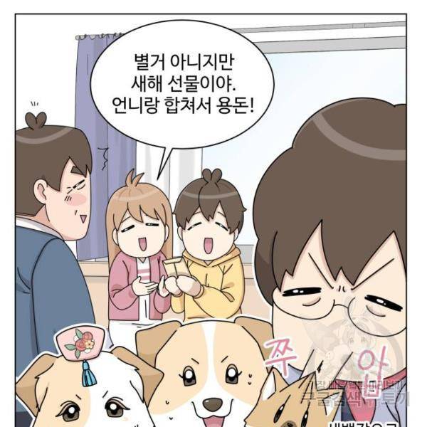 개를 낳았다 시즌2 71화 5