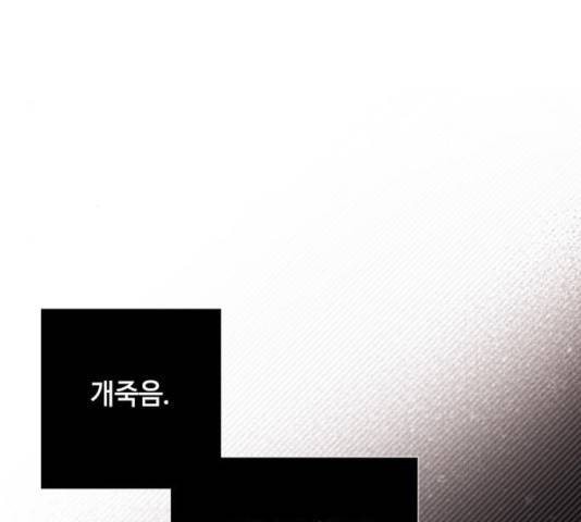 그 기사가 레이디로 사는 법 31화 147