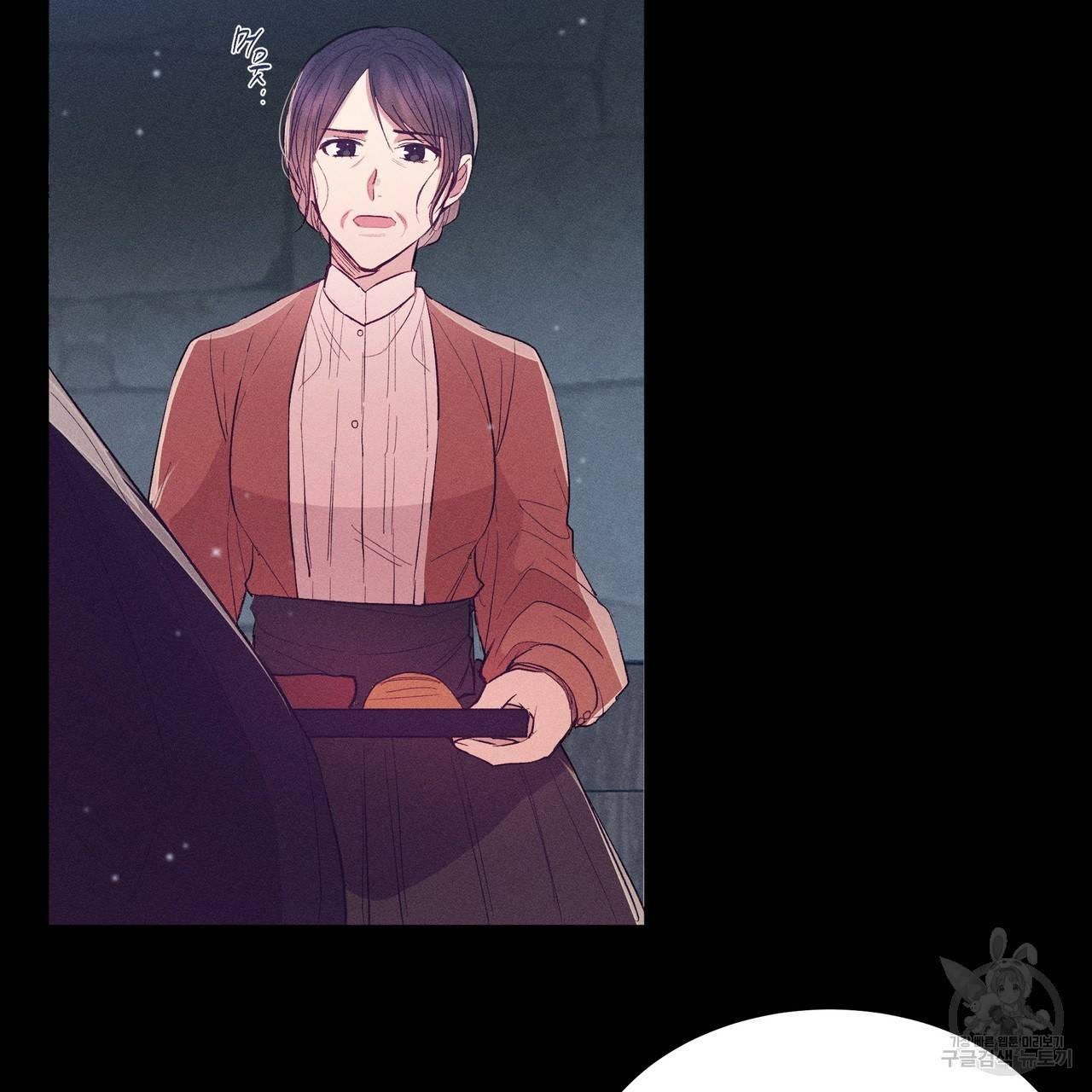 황제의 약혼녀로 산다는 것은 78화 11