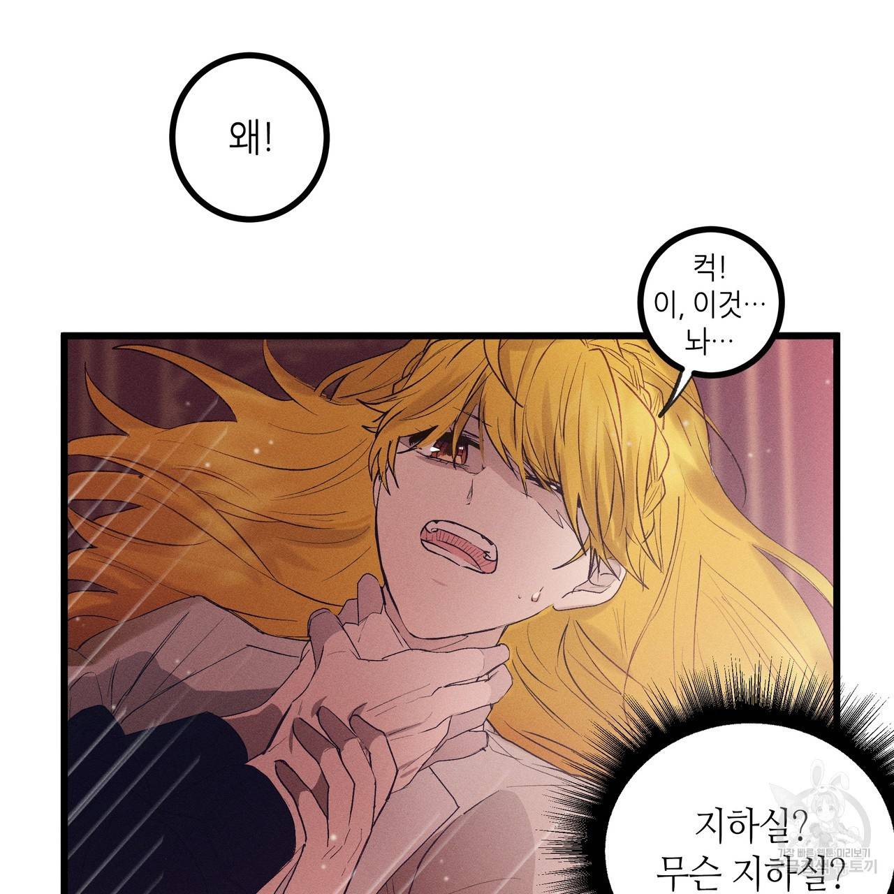 황제의 약혼녀로 산다는 것은 78화 90