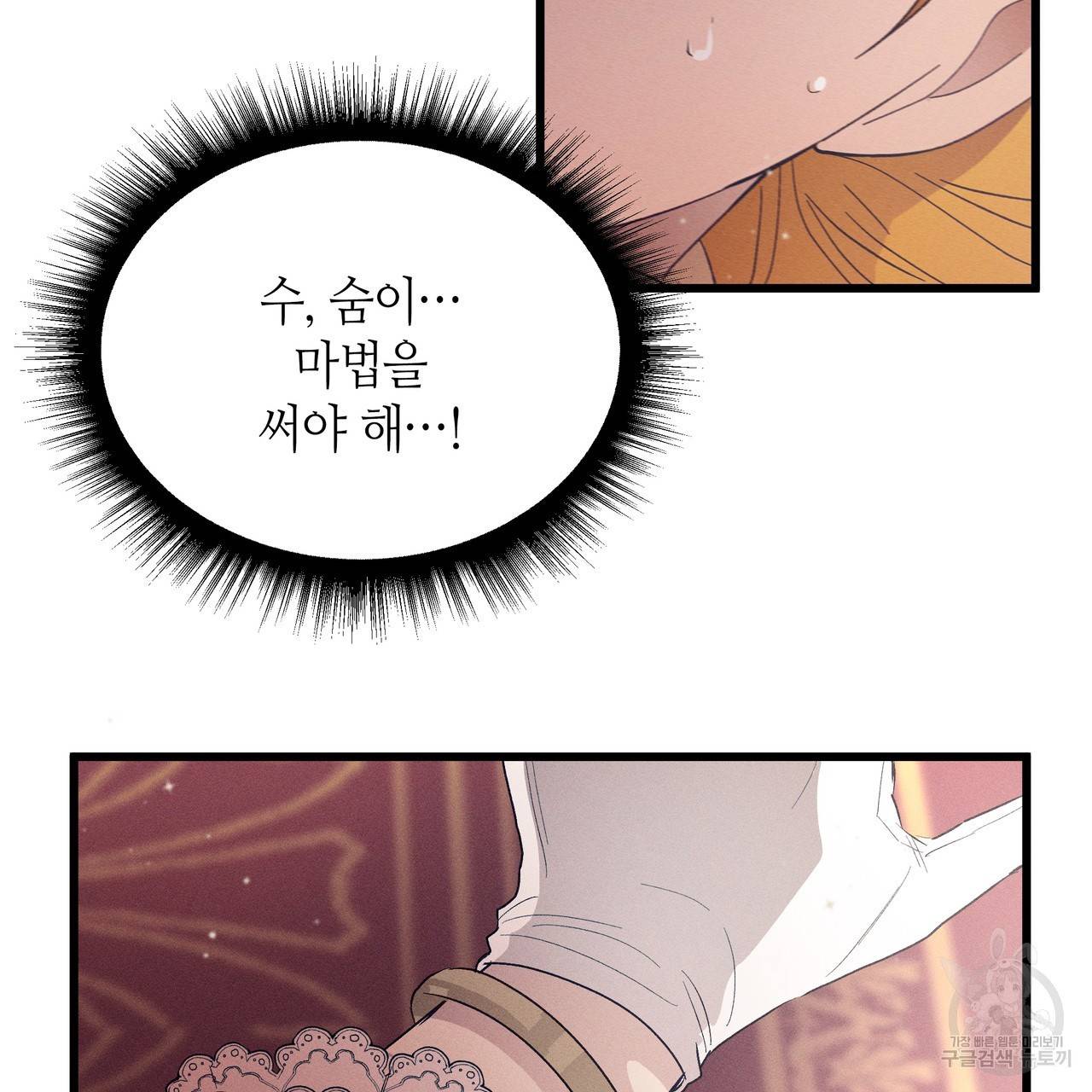 황제의 약혼녀로 산다는 것은 78화 94